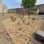 aménagement paysager roanne