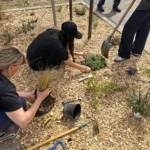 plantation massif 30 villemontais